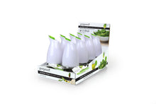 Charger l'image dans la galerie, Prepara Gourmet Cruet Green