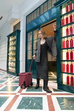 Load image into Gallery viewer, Reisenthel CARRYCRUISER