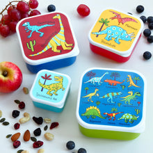 Load image into Gallery viewer, Tyrrell Katz Snack Boxes 4 Piece Set
